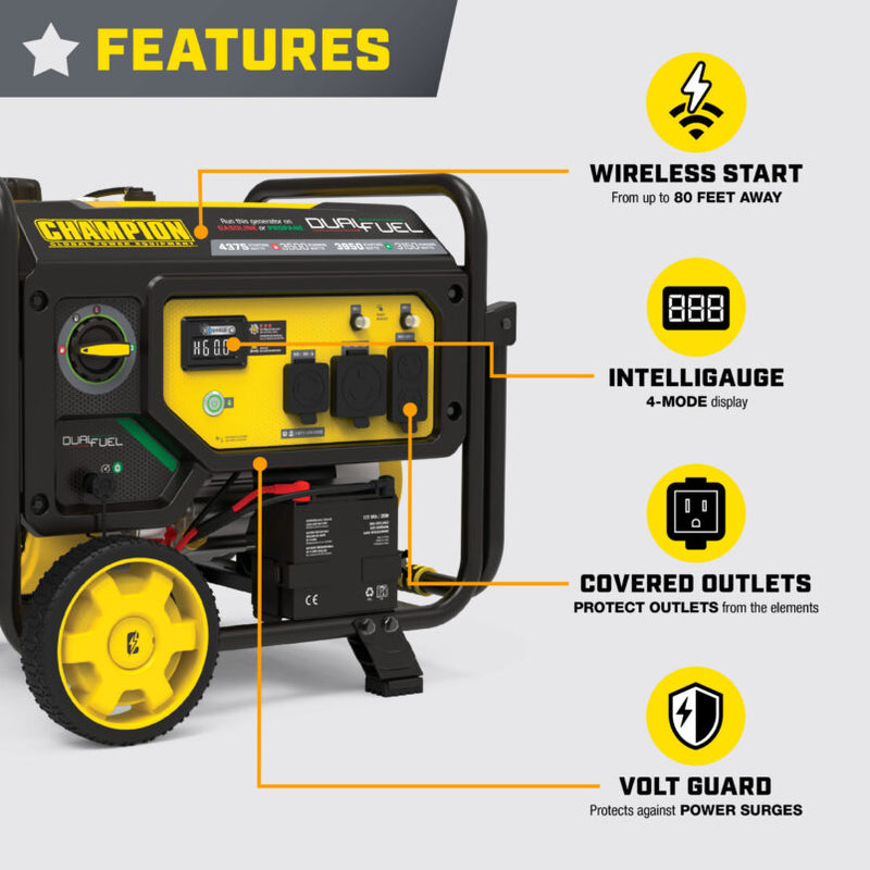 Load image into Gallery viewer, Champion 3500-Watt Dual Fuel Generator with CO Shield® 201297 - Backup Generator Store