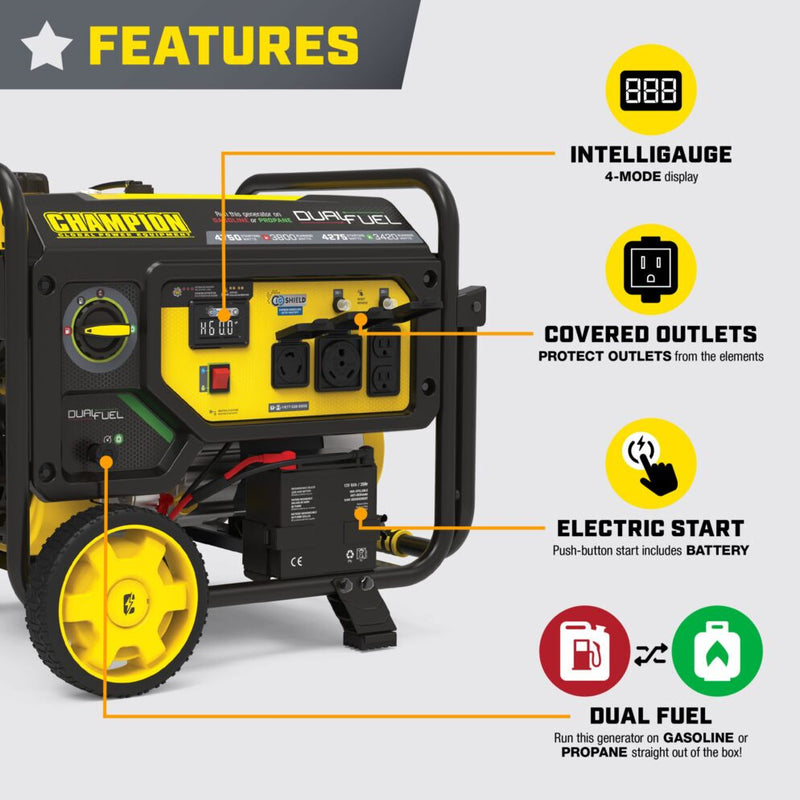 Load image into Gallery viewer, Champion 3800W Electric Start Dual Fuel Generator (CARB) 201393