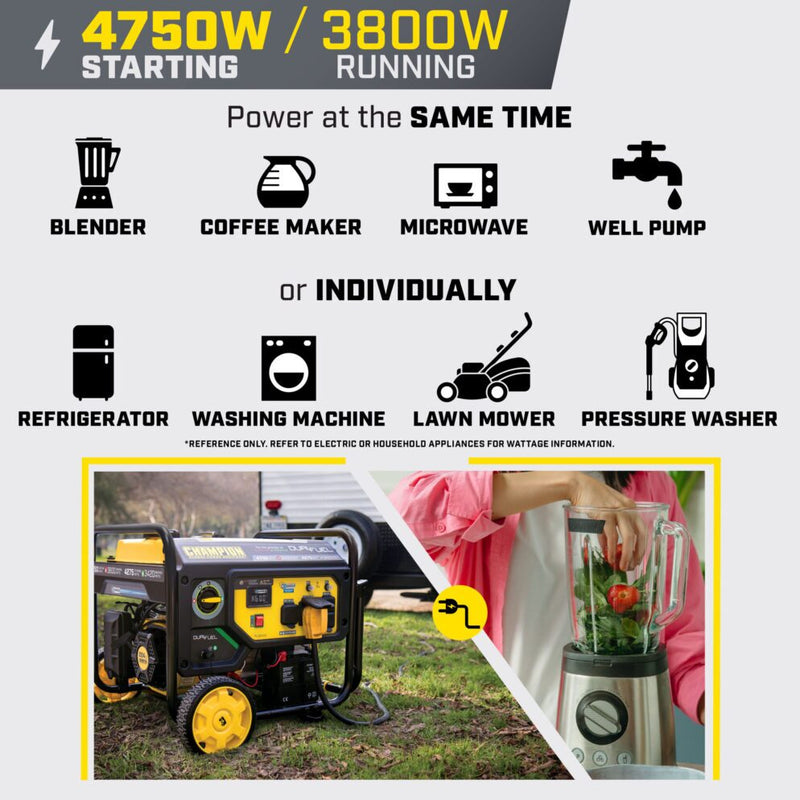Load image into Gallery viewer, Champion 3800W Electric Start Dual Fuel Generator (CARB) 201393