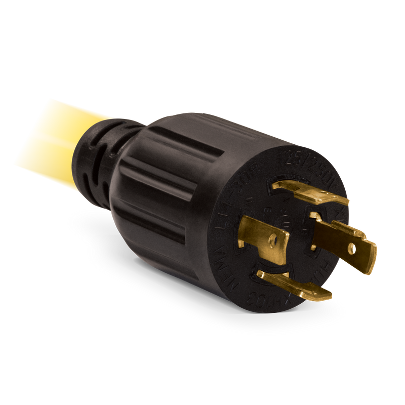 Load image into Gallery viewer, Champion 25-Foot 30-Amp 125/250-Volt Generator Extension Cord 48036 - Champion Backup Generator Store