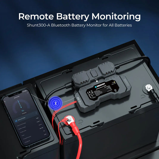 RENOGY Battery Shunt 300 RSHST-B02P300-G1-US
