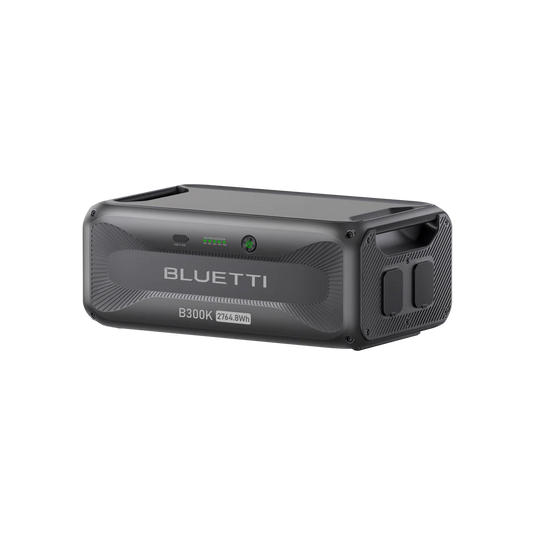 BLUETTIE B300K for Apex 300