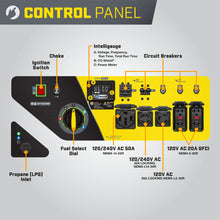 Load image into Gallery viewer, 12,000W Electric Start Tri Fuel Generator with CO Shield®  #201161