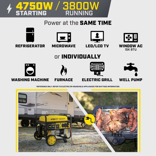 Champion 3800W Generator (CARB) 201207