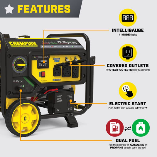 Champion 3800W Electric Start Dual Fuel Generator (CARB) 201393