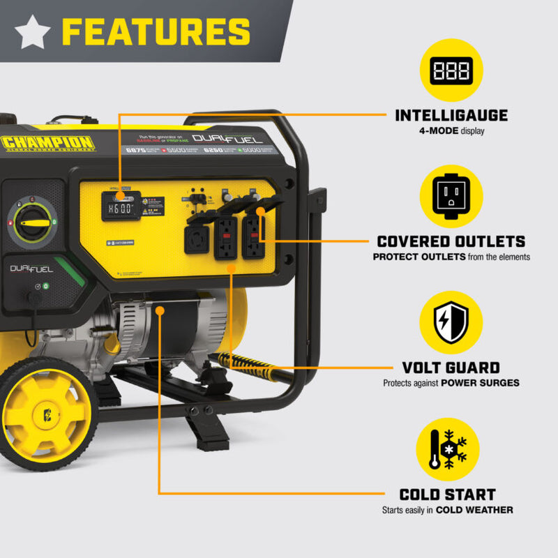 Load image into Gallery viewer, Champion 5500W Dual Fuel Generator with CO Shield® 201505 - Backup Generator Store

