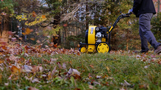Champion 212cc Walk-Behind Leaf Blower 201528