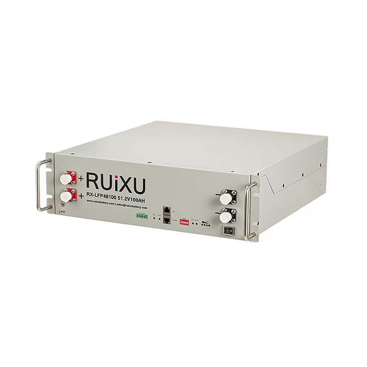 Load image into Gallery viewer, RX-LFP48100 | 19" Rack Mounted 3U Module
