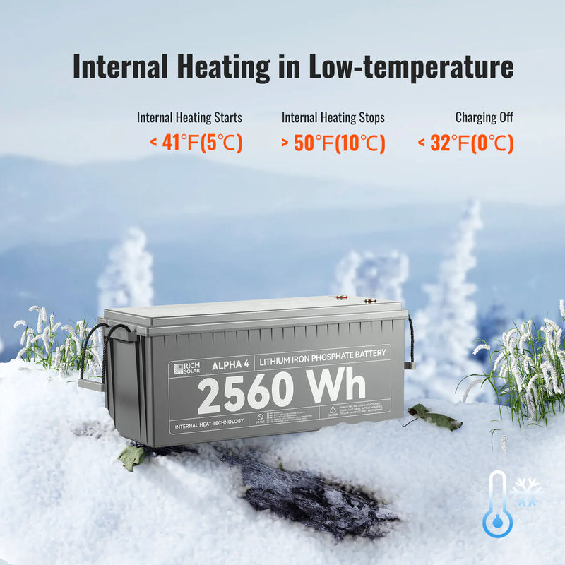 Load image into Gallery viewer, Rich Solar ALPHA 4 | 24V 100Ah LiFePO4 Battery | Powerful 24V Lithium Battery for RVs, Trailers, Vans, Boats, Off-Grid | 5,000 Lifetime Cycles | Bluetooth and Internal Heat RS-B241S
