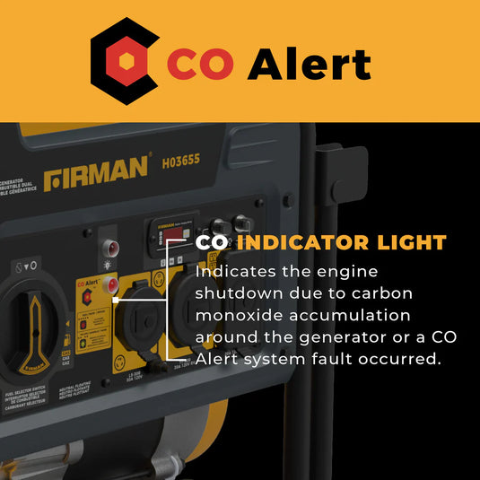 Firman Dual Fuel Portable Generator 4550/3650W Recoil Start h03655