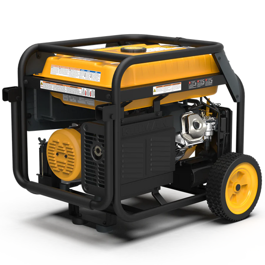 Firman Dual Fuel Portable Generator 7500W Electric Start 120/240V h07552