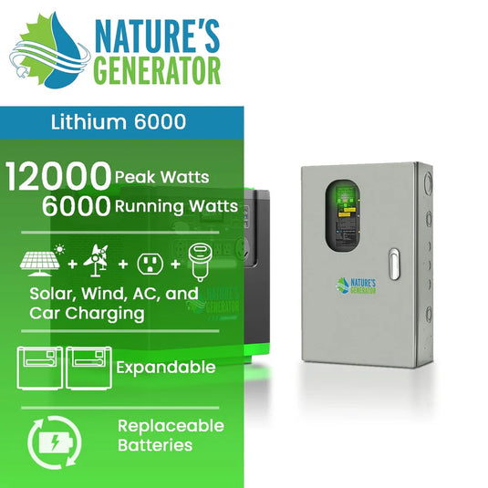 Nature's Generator Lithium 6000 and 30A Transfer Switch NGLGNSXPA