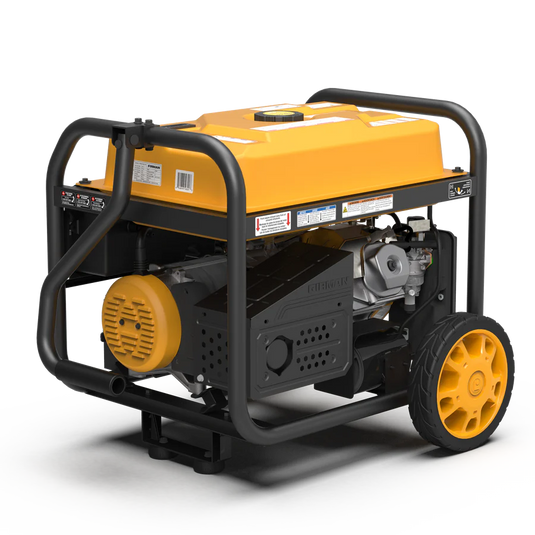 Firman Gas Portable Generator 11600W Remote Start 120/240V p09301 - Backup Generator Store