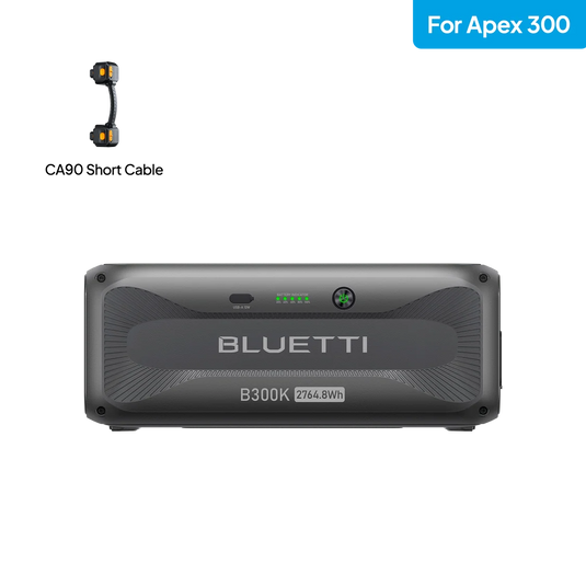 BLUETTIE B300K for Apex 300
