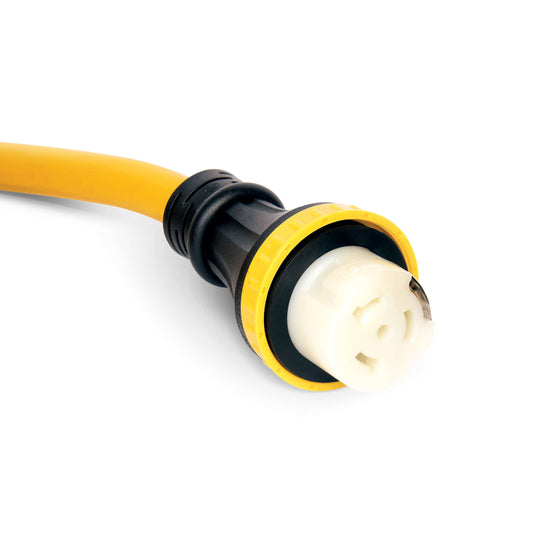 Champion 30 Foot 50 Amp 125/250 Volt RV Generator Cord - Champion Backup Generator Store