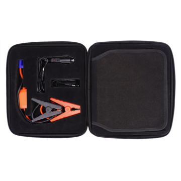 Load image into Gallery viewer, Lion Cub JC - Lion Backup Generator Store
