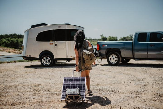 Lion Safari LT - Lion Backup Generator Store