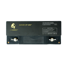 Load image into Gallery viewer, Lion Safari UT 12V 20Ah Lithium Iron Phosphate (LiFePO4) Battery - Lion Backup Generator Store